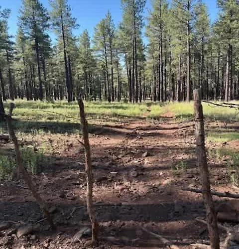 Hotevilla Hideaway Cozy Retreat Flagstaff